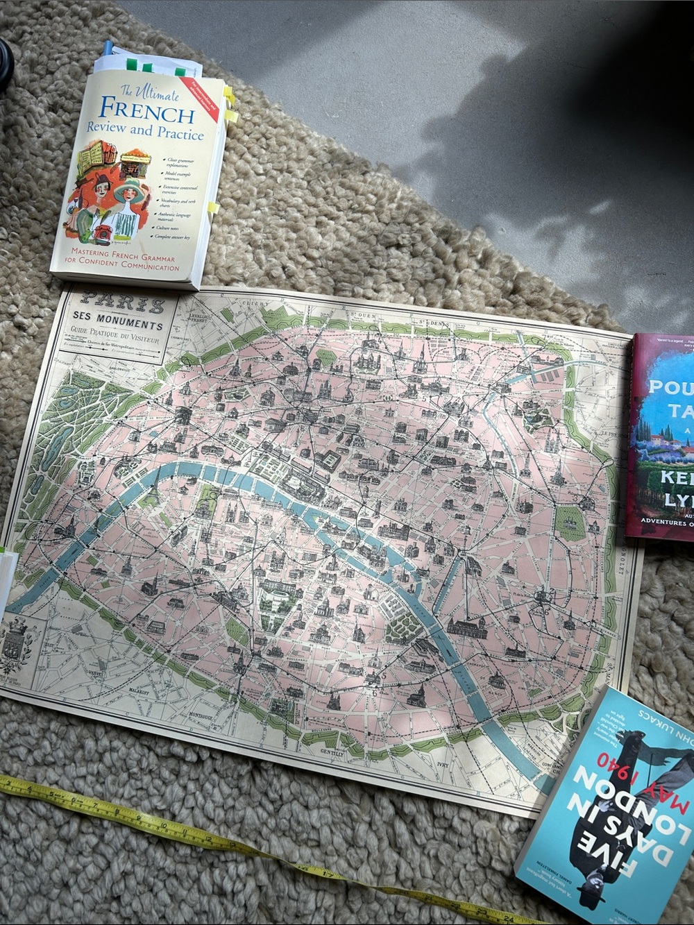 Vintage Paris Map Wall Chart - Pink and Blue